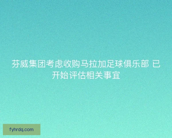 芬威集团考虑收购马拉加足球俱乐部 已开始评估相关事宜 芬威集团考虑收购马拉加足球俱乐部 已开始评估相关事宜